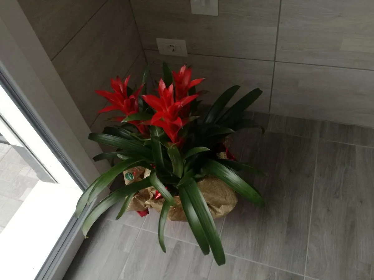 Apartmán Alessietto Verona